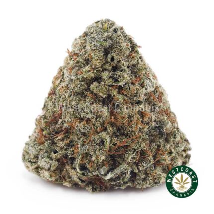 Kosher Kush AAA - West Coast Cannabis