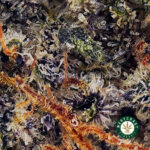 Kush Mintz AAA - West Coast Cannabis