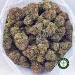 Master Yoda AA - West Coast Cannabis