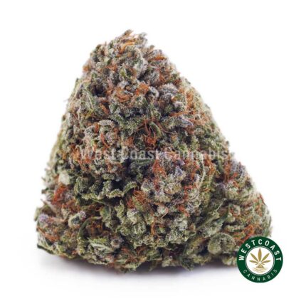 Master Yoda AA - West Coast Cannabis