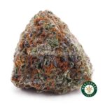 Mataro Blue AAA - West Coast Cannabis