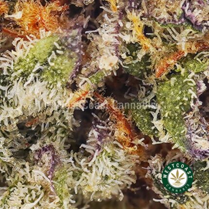 Mendo Cookies AAAA (Popcorn Nugs) - West Coast Cannabis