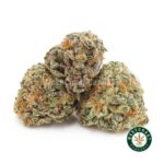 Mendo Cookies AAAA (Popcorn Nugs) - West Coast Cannabis