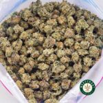 Mendo Cookies AAAA (Popcorn Nugs) - West Coast Cannabis