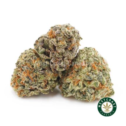 Mendo Cookies AAAA (Popcorn Nugs) - West Coast Cannabis