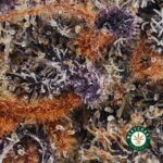 Mendo Kush AAAA - West Coast Cannabis