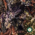 Miracle Marker AAA - West Coast Cannabis