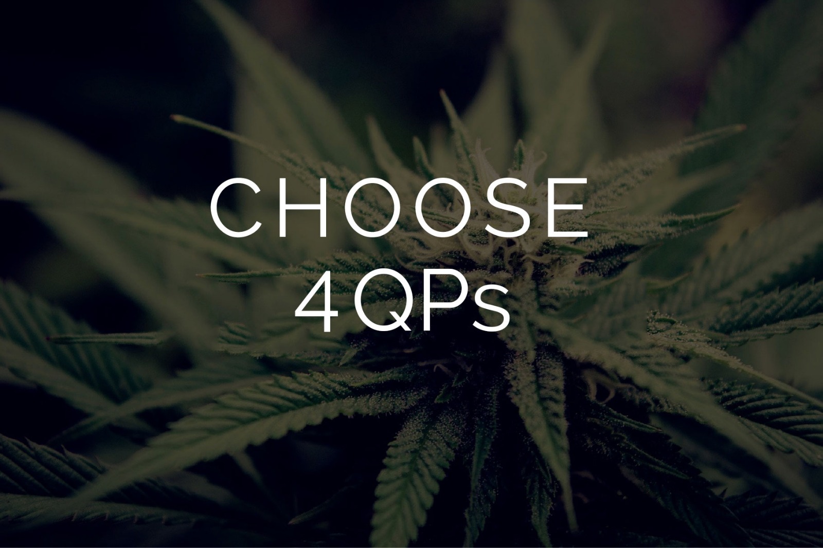 Multi Pack - Pound - 4 x Quarter Pound - West Coast Cannabis Multi Pack - Pound - 4 x Quarter Pound - West Coast Cannabis