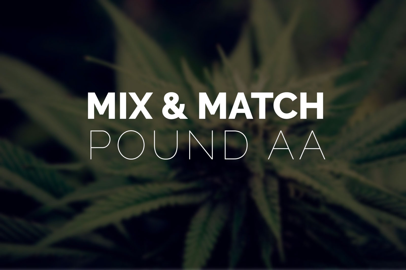Multi Pack - Pound AA Strains - 4 x Quarter Pound - West Coast Cannabis Multi Pack - Pound AA Strains - 4 x Quarter Pound - West Coast Cannabis