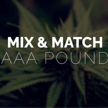 Multi Pack - Pound AAA Strains - 4 x Quarter Pound - West Coast Cannabis