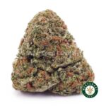 Nirvana AAA - West Coast Cannabis