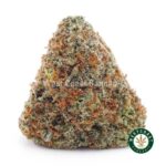 Northern Lights AAA - West Coast Cannabis