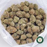 Northern Lights AAA - West Coast Cannabis