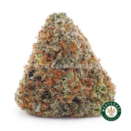 Northern Lights AAA - West Coast Cannabis