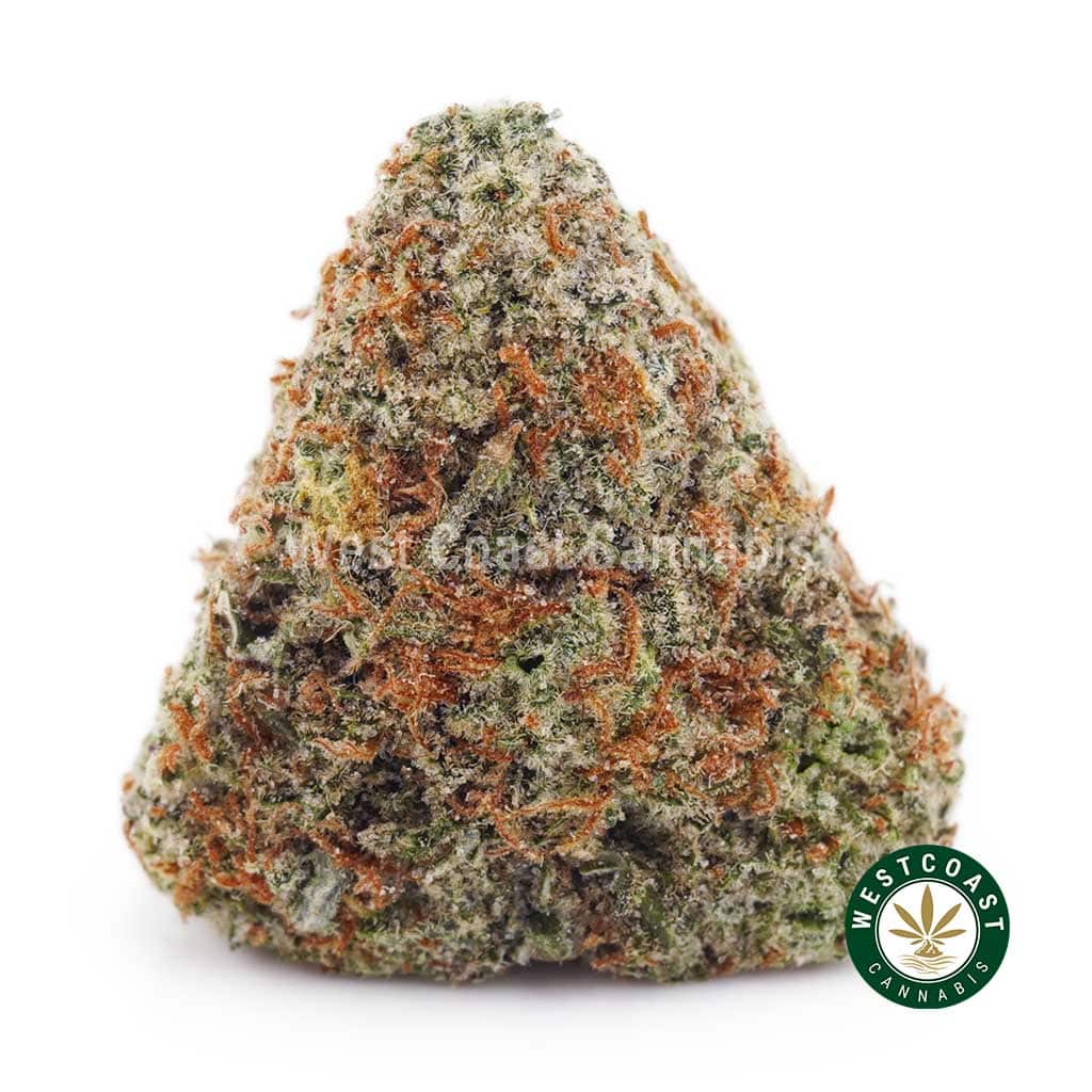 Northern Lights AAA - West Coast Cannabis Northern Lights AAA - West Coast Cannabis