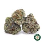 NYC Cheesecake AAAA (Popcorn Nugs) - West Coast Cannabis
