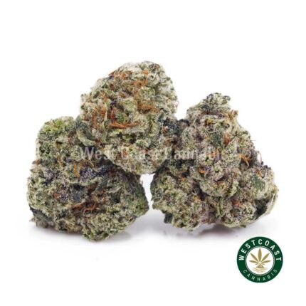 NYC Cheesecake AAAA (Popcorn Nugs) - West Coast Cannabis
