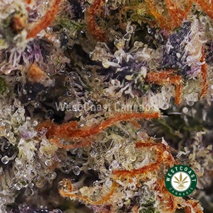 OG Kush AAAA - West Coast Cannabis