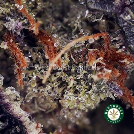 One Punch AAAA+ - West Coast Cannabis