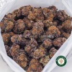 Orange Creamsicle AAA - West Coast Cannabis