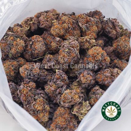 Orange Creamsicle AAA - West Coast Cannabis