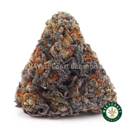 Orange Creamsicle AAA - West Coast Cannabis