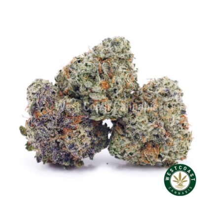 Peanut Butter Breath AAAA (Popcorn Nugs) - West Coast Cannabis