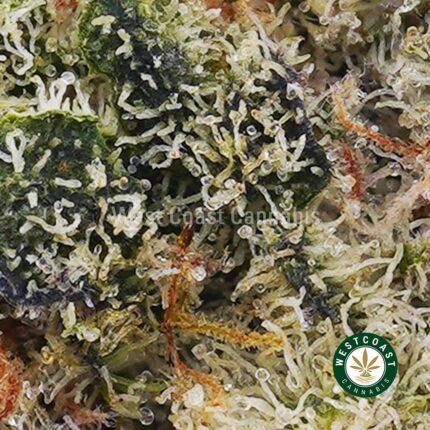 Peanut Butter Cookie Strain For Sale. Buy Bruce Banner Weed Online in Canada.