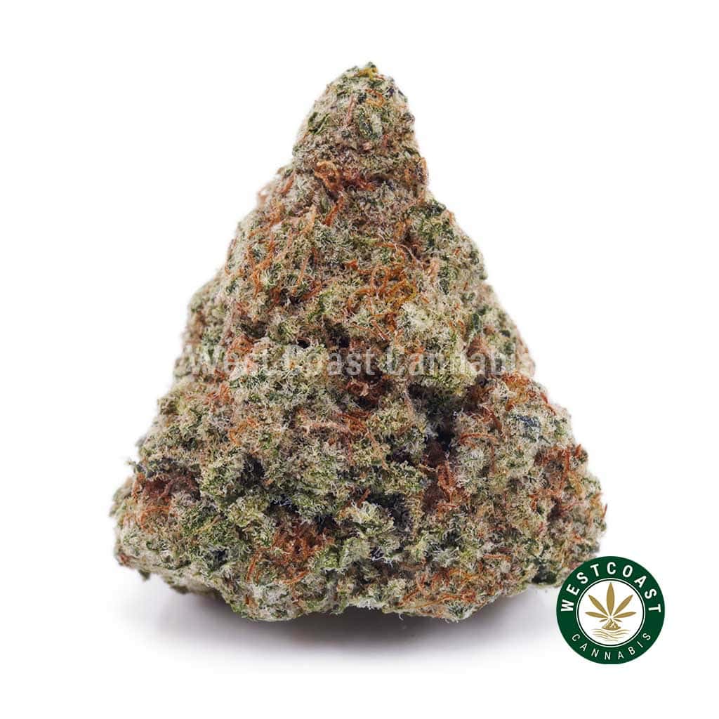 Peanut Butter Cookie Strain For Sale. Buy Bruce Banner Weed Online in Canada. Peanut Butter Cookie Strain For Sale. Buy Bruce Banner Weed Online in Canada.