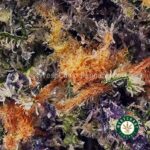 Pineapple Crack AAAA - West Coast Cannabis