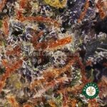 Pink Anxiety AAA - West Coast Cannabis