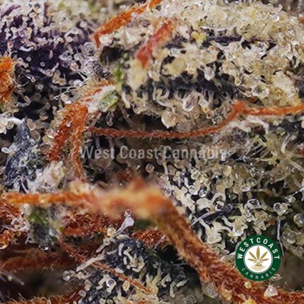 Pink Bubba AAAA - West Coast Cannabis