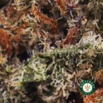 Pink Death AAA - West Coast Cannabis
