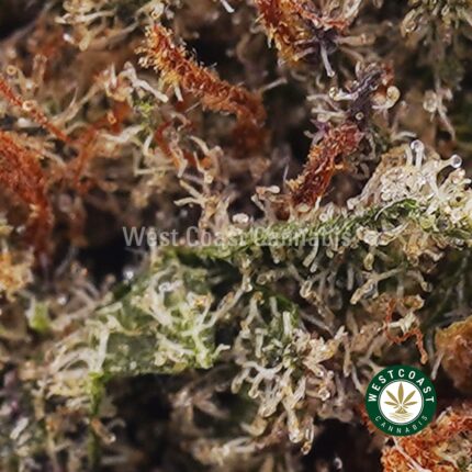 Pink Death AAA - West Coast Cannabis