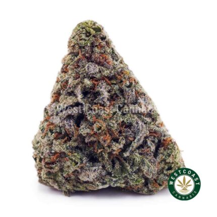 Pink Gasoline AA - West Coast Cannabis
