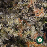 Pink Ice Cream Cake Weed Strain For Sale Online Canada Mail Order Pot