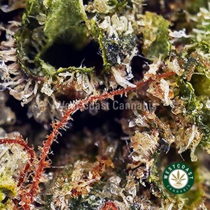 Pink Rockstar AAA - West Coast Cannabis