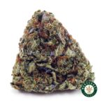 Pink Rockstar AAA - West Coast Cannabis