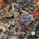 Pink Runtz AAA - West Coast Cannabis