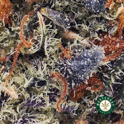 Pink Runtz AAA - West Coast Cannabis