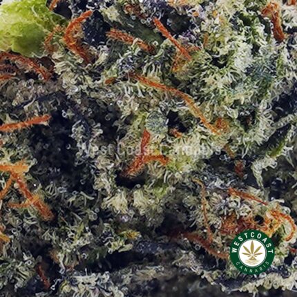 Pink Tuna AAAA - West Coast Cannabis
