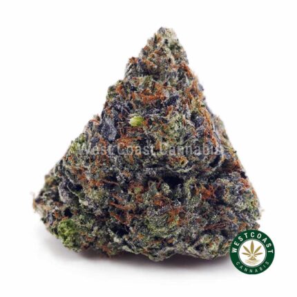 Pink Tuna AAAA - West Coast Cannabis
