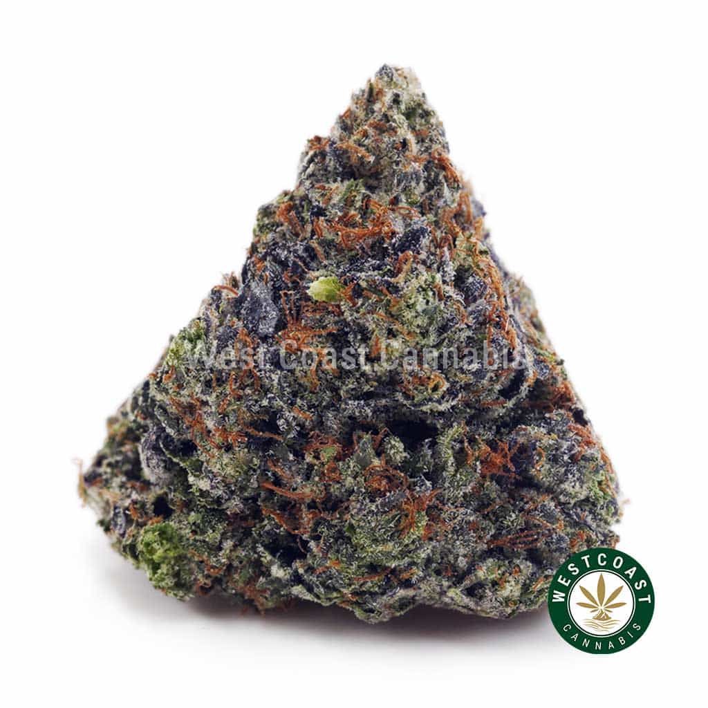 Pink Tuna AAAA - West Coast Cannabis Pink Tuna AAAA - West Coast Cannabis