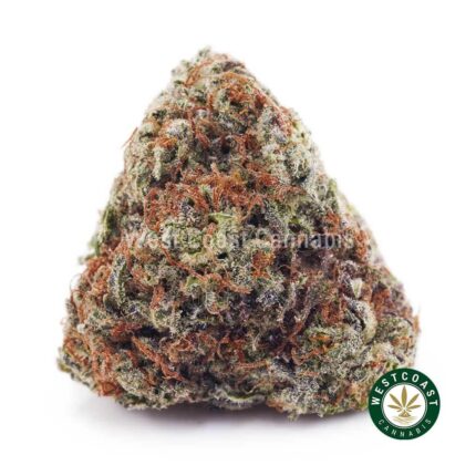 Platinum Blackberry AAA - West Coast Cannabis