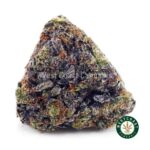 Platinum Bubba Kush AAA - West Coast Cannabis