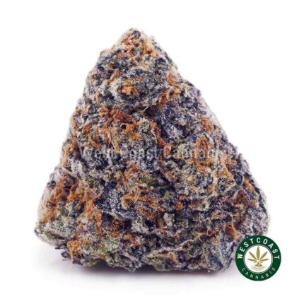 Platinum Cookies AAAA - West Coast Cannabis