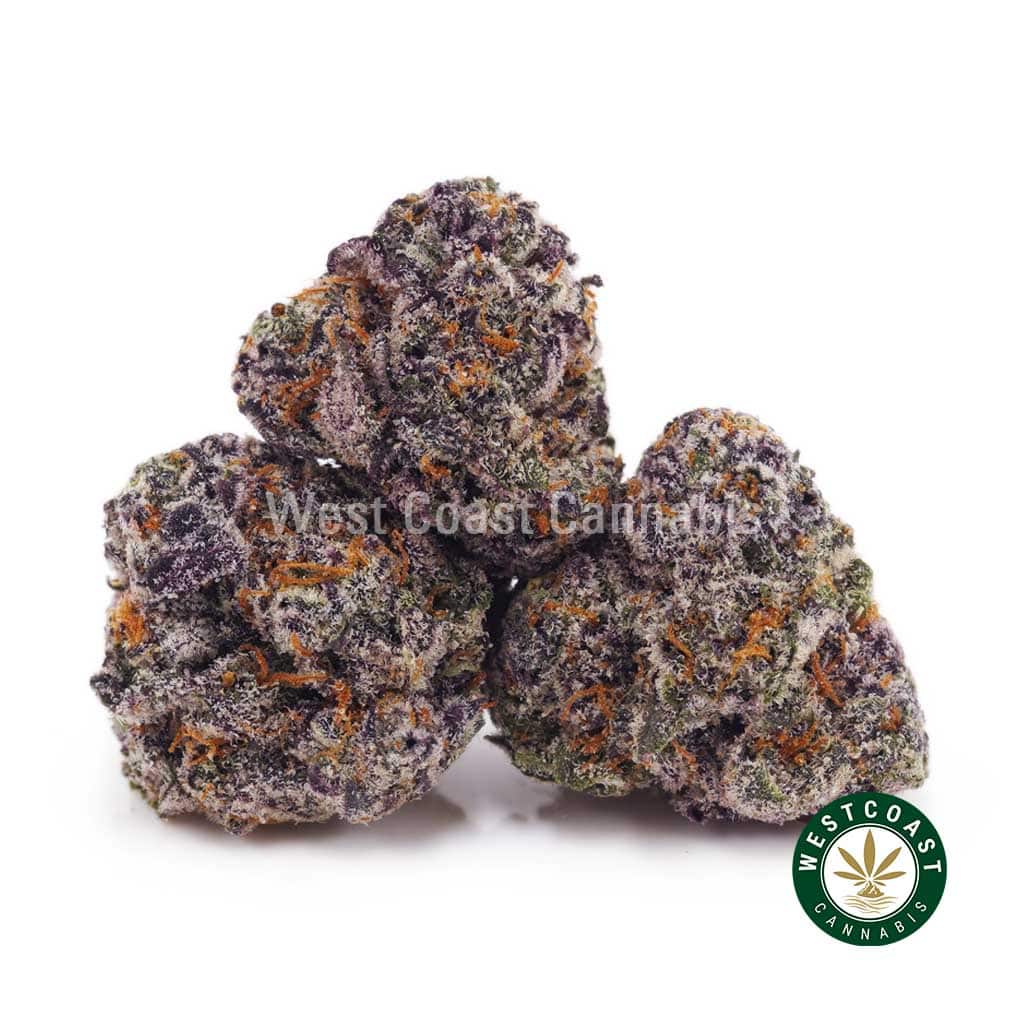 Platinum Kush AAAA (Popcorn Nugs) - West Coast Cannabis Platinum Kush AAAA (Popcorn Nugs) - West Coast Cannabis