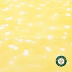 Premium Shatter - Blueberry Cheesecake (Sativa) - West Coast Cannabis