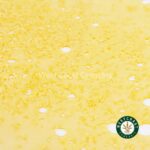 Premium Shatter - Dank Sinatra (Indica) - West Coast Cannabis