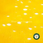 Premium Shatter - Monster Cookies (Indica) - West Coast Cannabis
